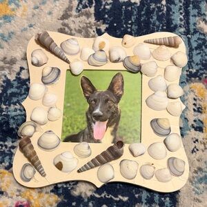 Seashell Decorated Picture Frame